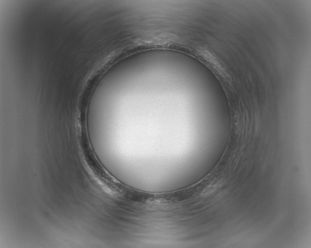 X0000073830634200608101002