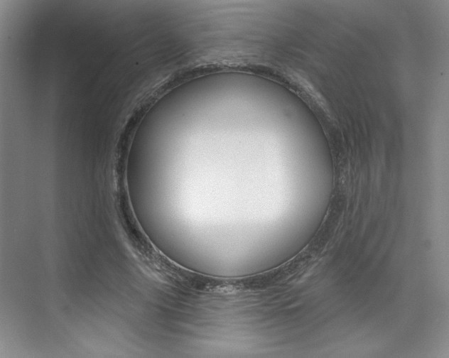 X0000073830635200608101002