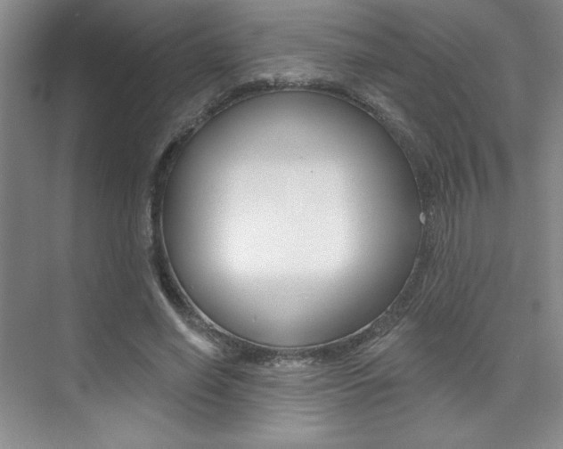 X0000073830638200608101002