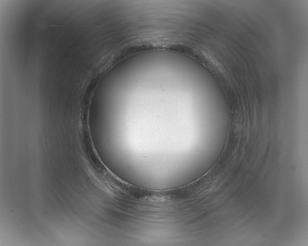 X0000073830639200608101002