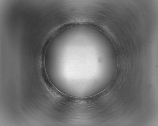 X0000073830640200608101002