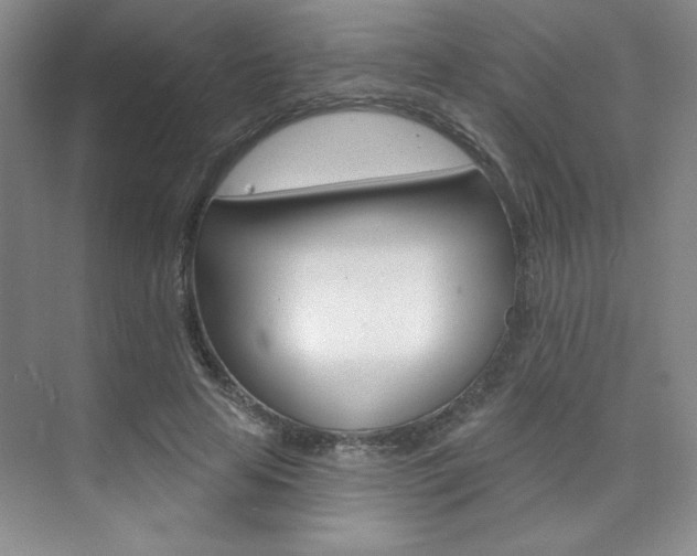 X0000073830641200608101002