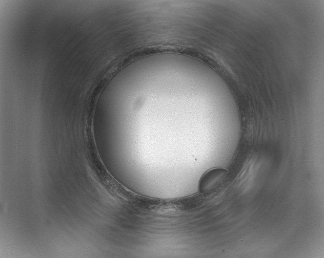 X0000073830643200608101002