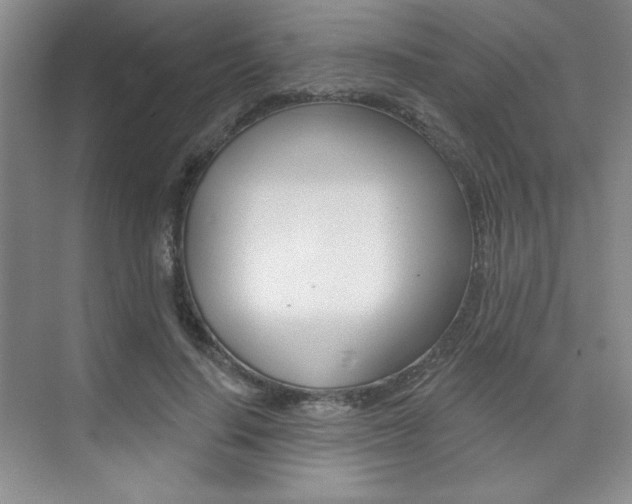 X0000073830644200608101002