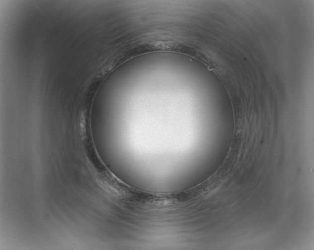 X0000073830646200608101002