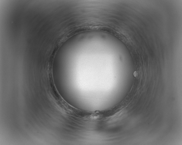 X0000073830647200608101002