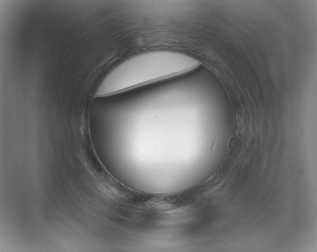 X0000073830648200608101002