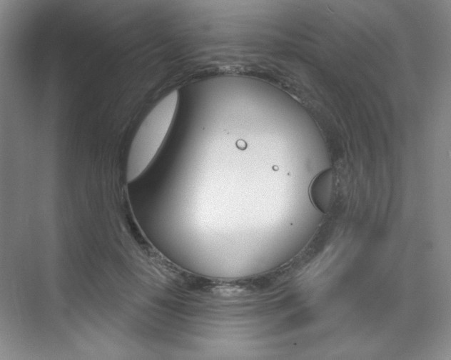 X0000073830650200608101002