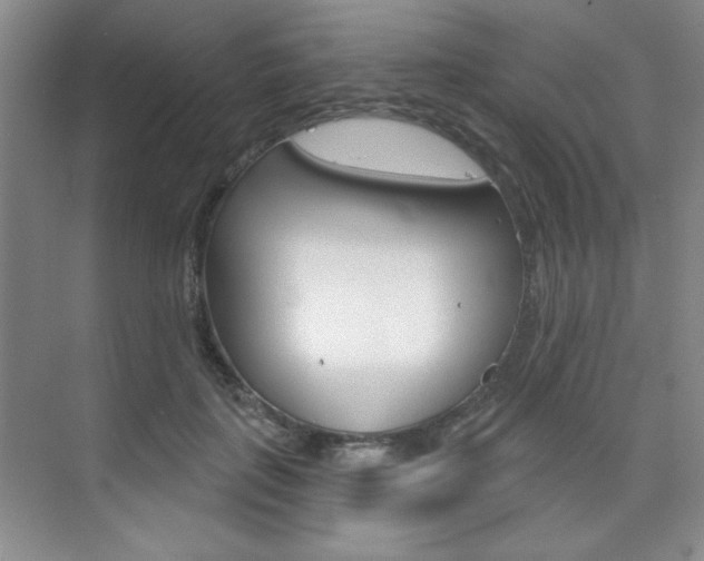 X0000073830651200608101002