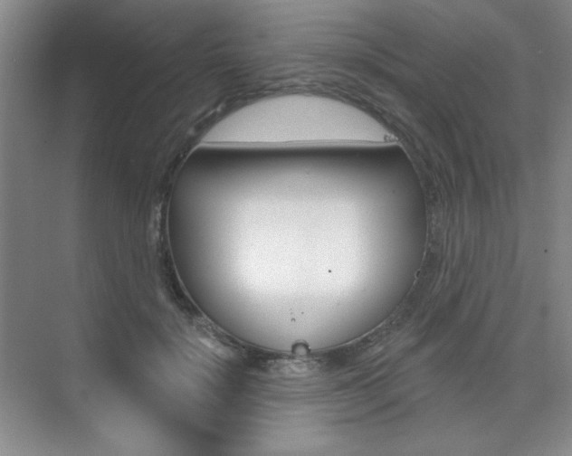 X0000073830652200608101002