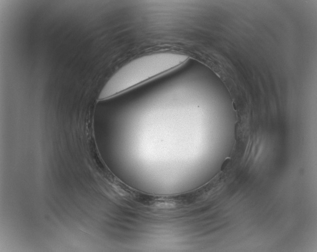 X0000073830653200608101002