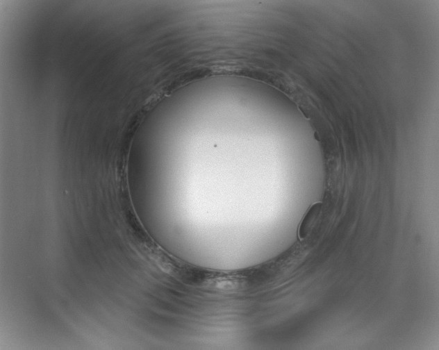 X0000073830655200608101002