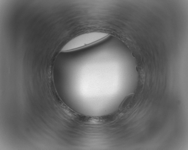 X0000073830657200608101003