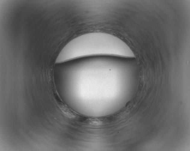 X0000073830658200608101003