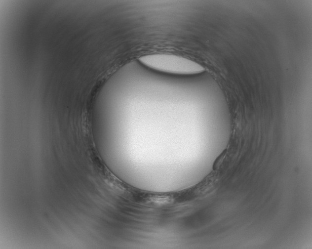 X0000073830659200608101003