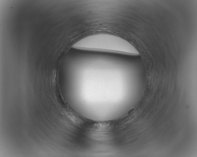 X0000073830660200608101003