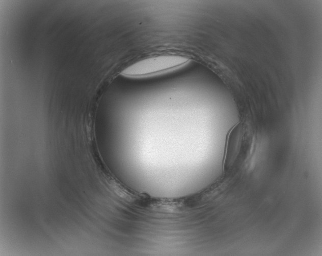 X0000073830661200608101003