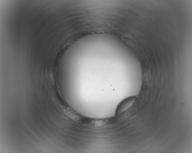 X0000073830662200608101003