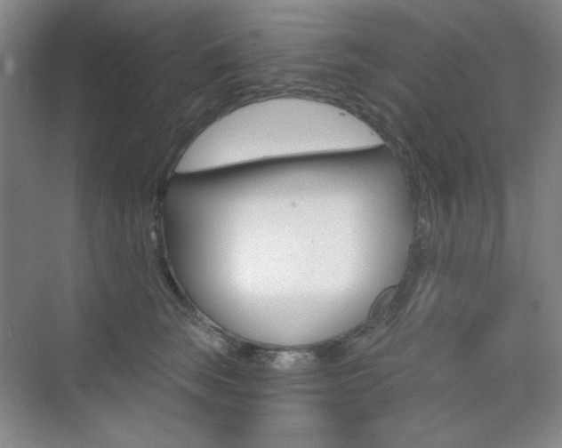 X0000073830663200608101003