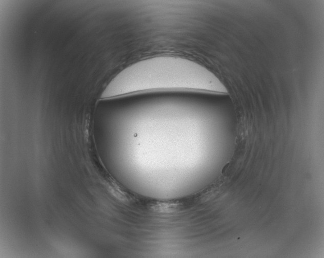 X0000073830664200608101003