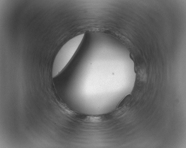 X0000073830665200608101003