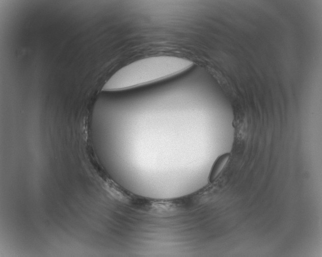 X0000073830666200608101003