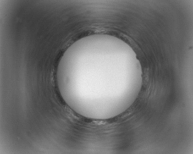 X0000073830667200608101003