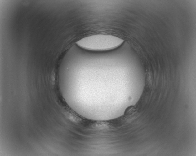 X0000073830668200608101003