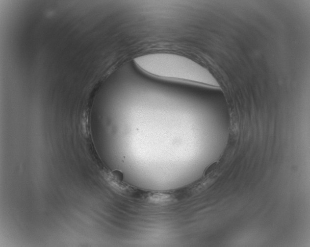 X0000073830669200608101003