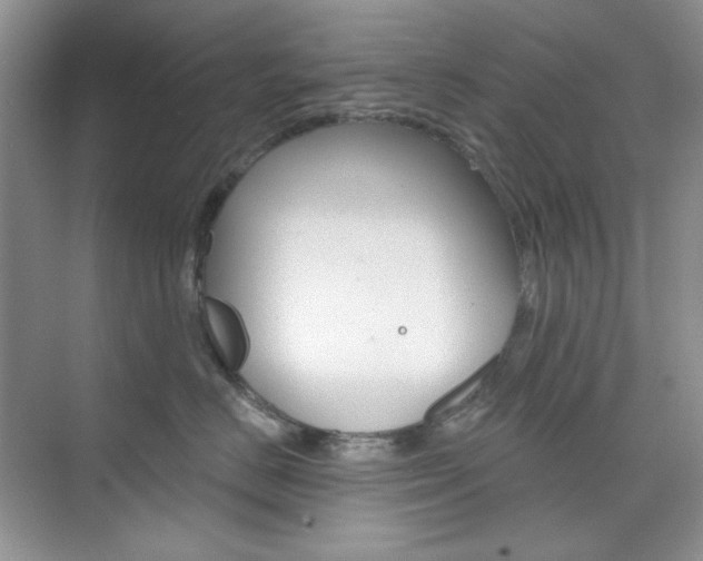 X0000073830670200608101003