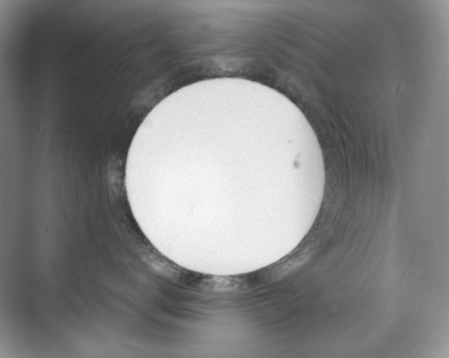 X0000073830672200608101003