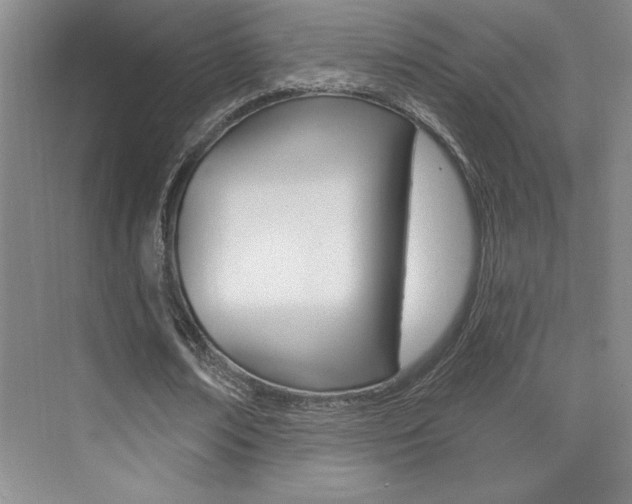 X0000073830674200608101002