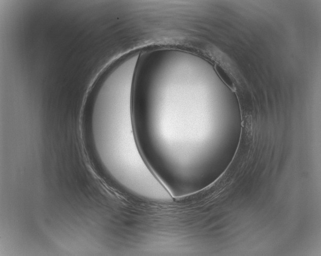 X0000073830676200608101002