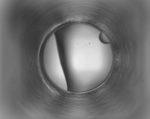 X0000073830678200608101002