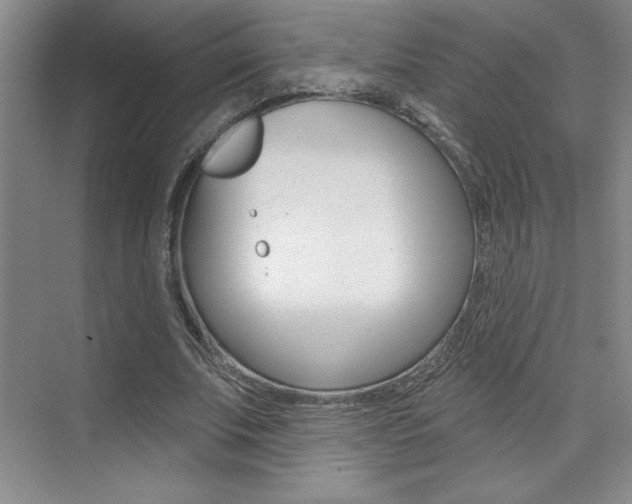 X0000073830679200608101002