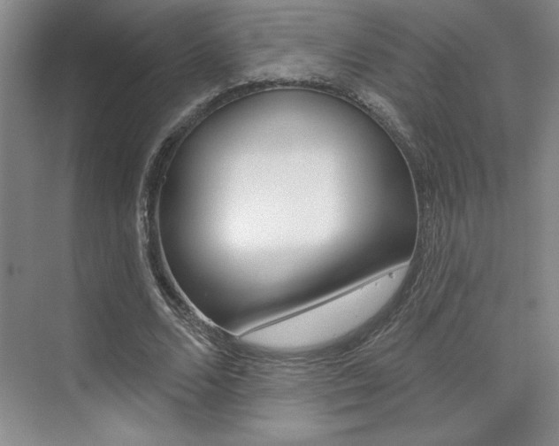 X0000073830680200608101002