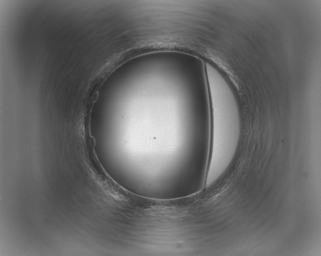 X0000073830681200608101002