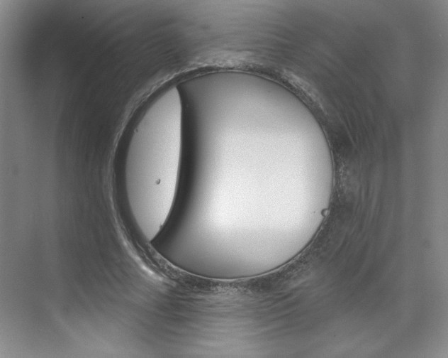 X0000073830682200608101002