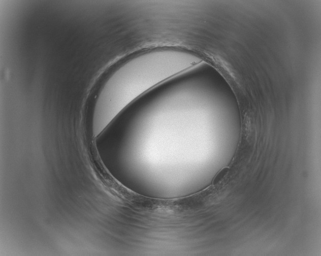 X0000073830684200608101002