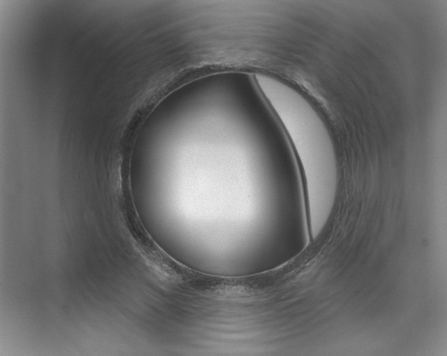 X0000073830685200608101002