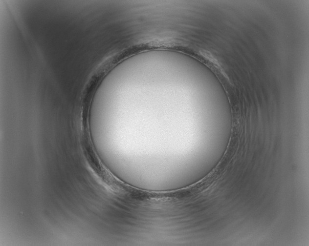 X0000073830686200608101002