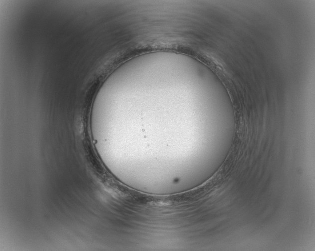 X0000073830687200608101002