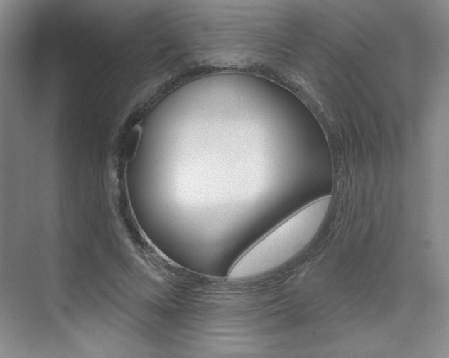 X0000073830688200608101002