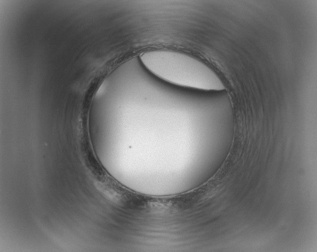 X0000073830690200608101002