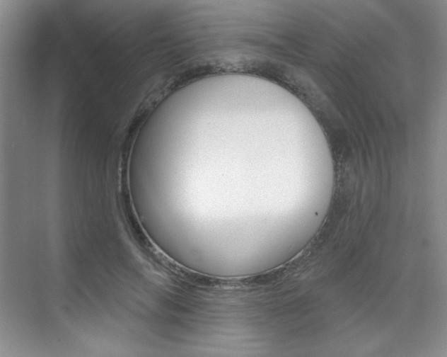 X0000073830694200608101002