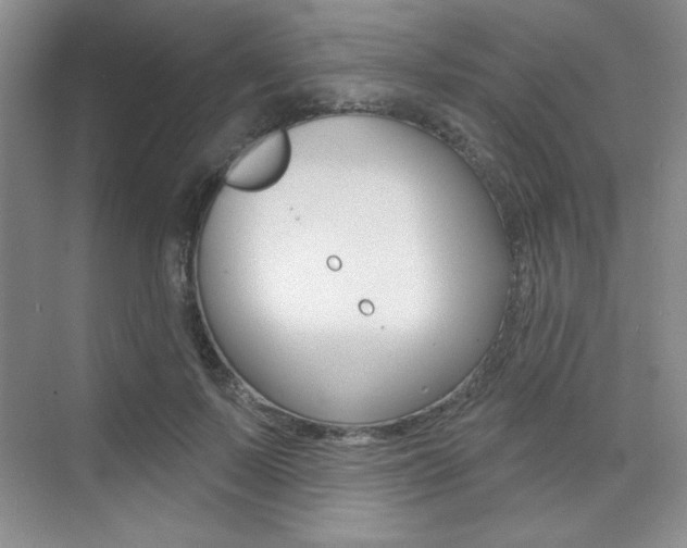 X0000073830695200608101002