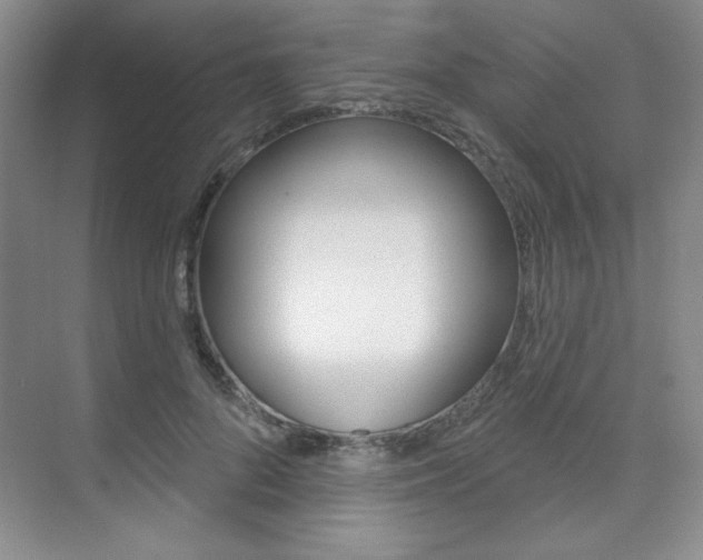 X0000073830696200608101002