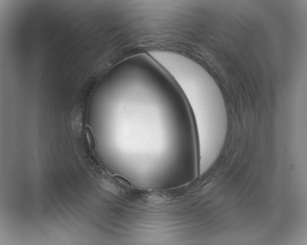 X0000073830697200608101002