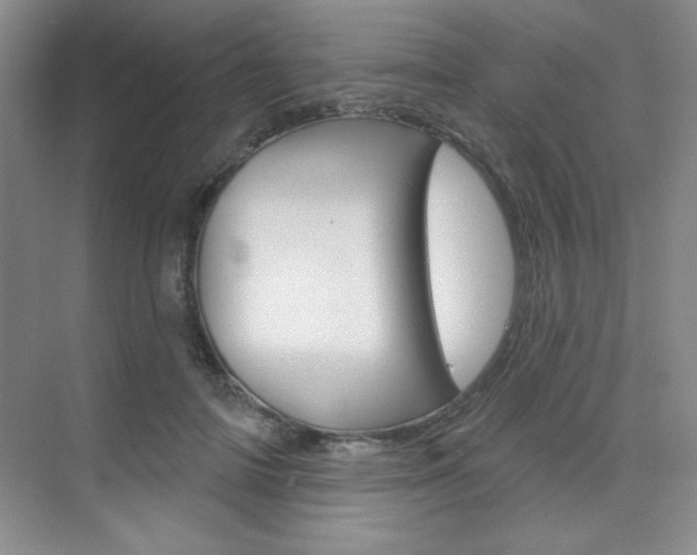 X0000073830698200608101002