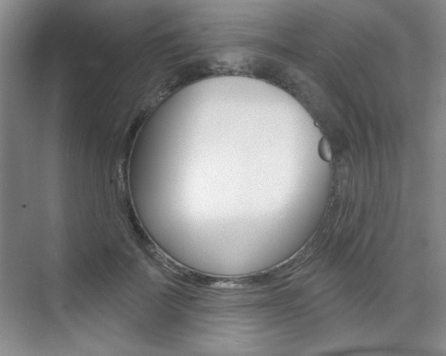 X0000073830699200608101002